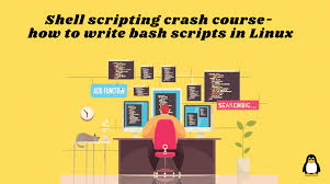 Shell Scripting Practice Exercises with Demonstration